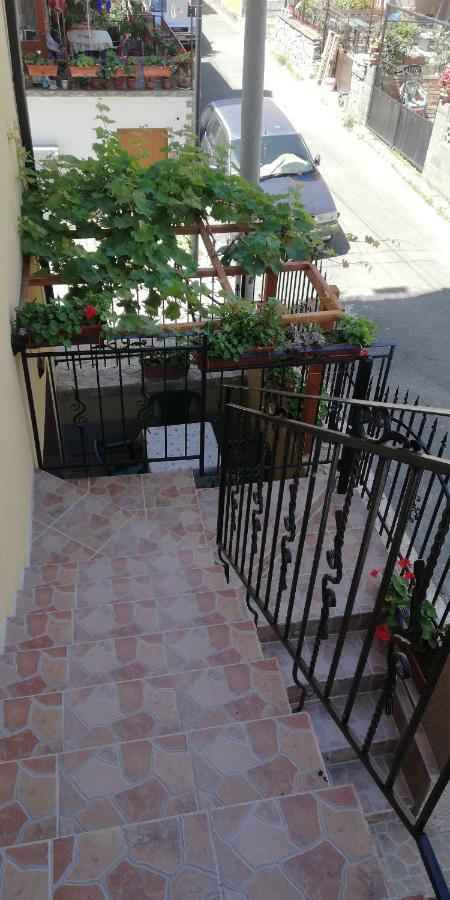 סוזופול Guest House Ares מראה חיצוני תמונה